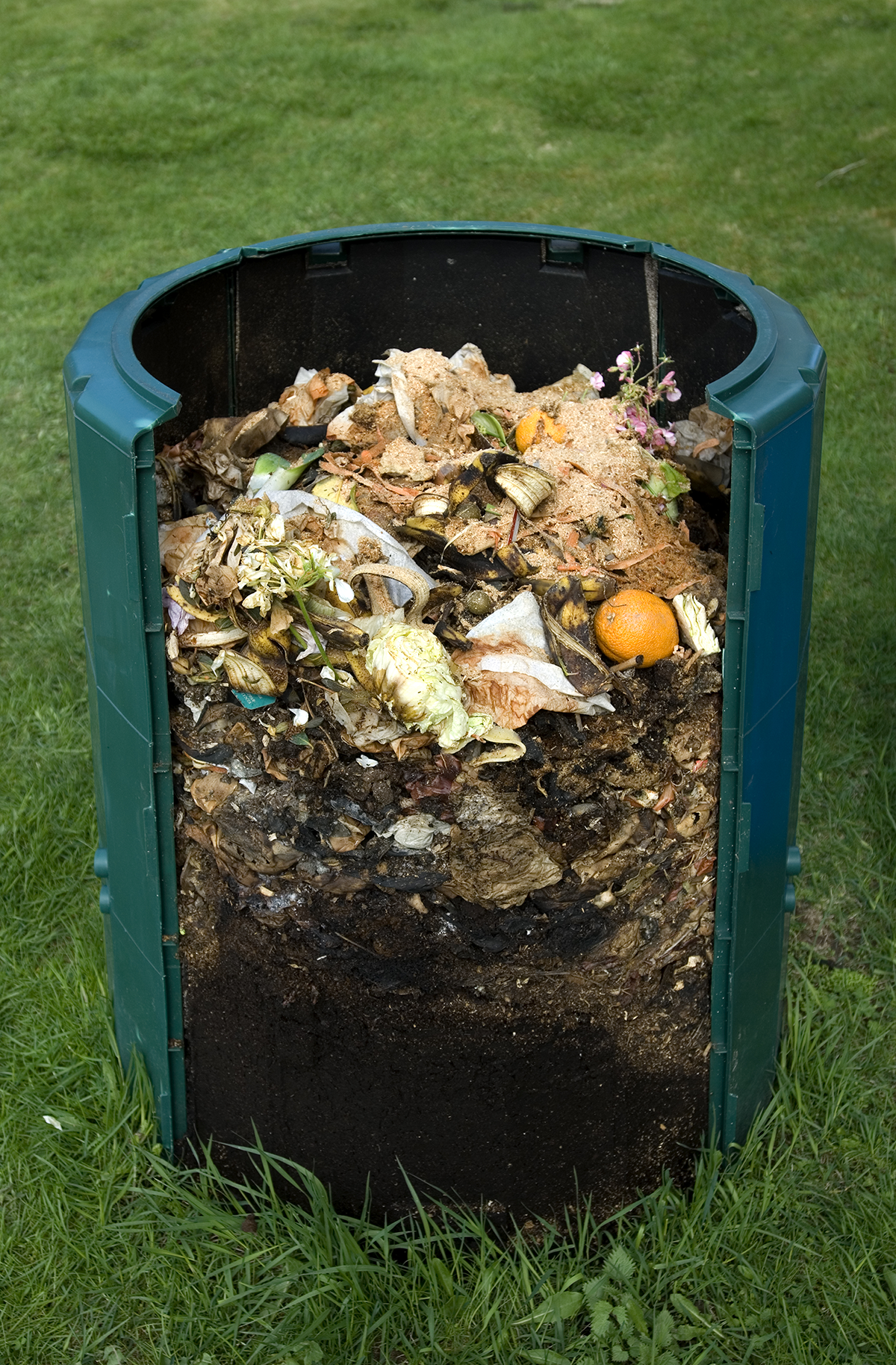 Grön plastkompost fylld med matrester