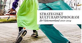 Strategiskt kulturarvsprogram för Västernorrland 2021-2024